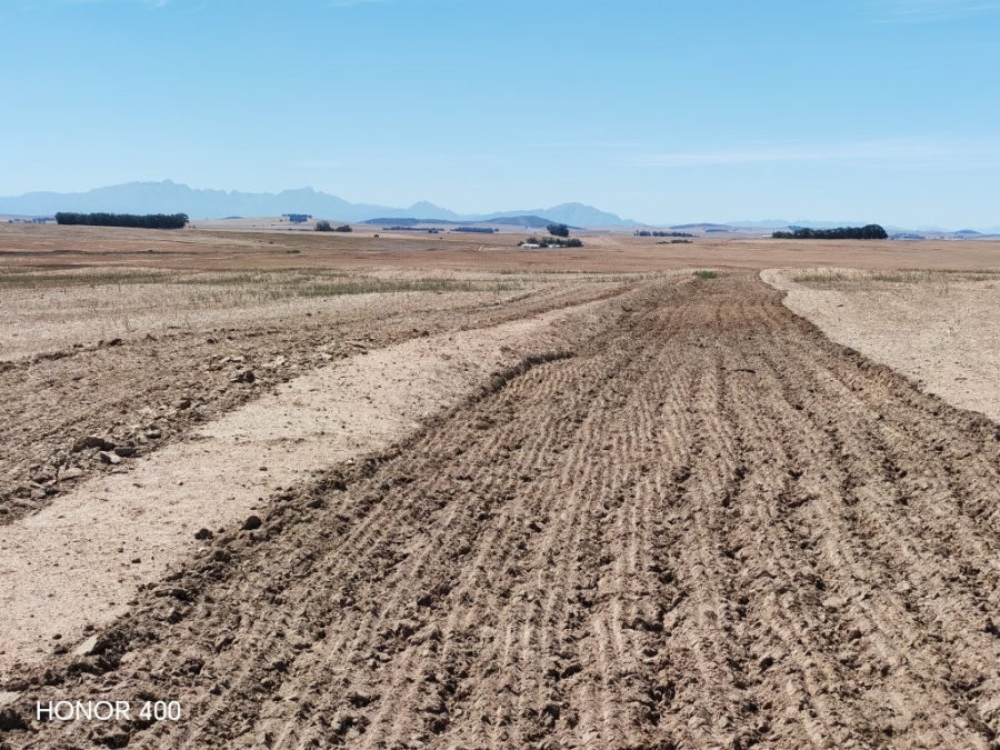 0 Bedroom Property for Sale in Hopefield Rural Western Cape